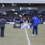 10. Release of Doves